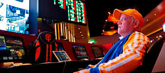 Онлайн казино Lucky Duck Casino